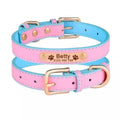 Coleira para Cães e Gatos Personalizável
