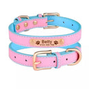 Coleira para Cães e Gatos Personalizável