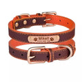 Coleira para Cães e Gatos Personalizável