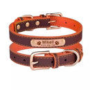 Coleira para Cães e Gatos Personalizável
