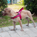Coleira Peitoral para Cachorro Antipuxão