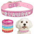 Coleira Personalizada Charms Para Cães e Gatos