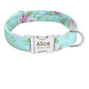 Coleira Personalizada Nylon Modelo Soft
