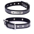 Coleira Personalizada Para Cães e Gatos