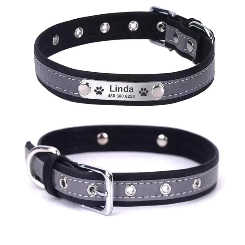 Coleira Personalizada Para Cães e Gatos