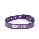 Coleira Personalizada Para Cães e Gatos