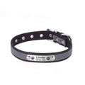 Coleira Personalizada Para Cães e Gatos