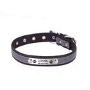 Coleira Personalizada Para Cães e Gatos