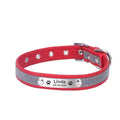 Coleira Personalizada Para Cães e Gatos