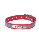 Coleira Personalizada Para Cães e Gatos