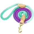Guia Pet Candy Colors