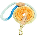 Guia Pet Candy Colors