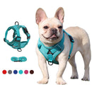 Peitoral Refletivo Ajustável para Cães + Guia Grátis