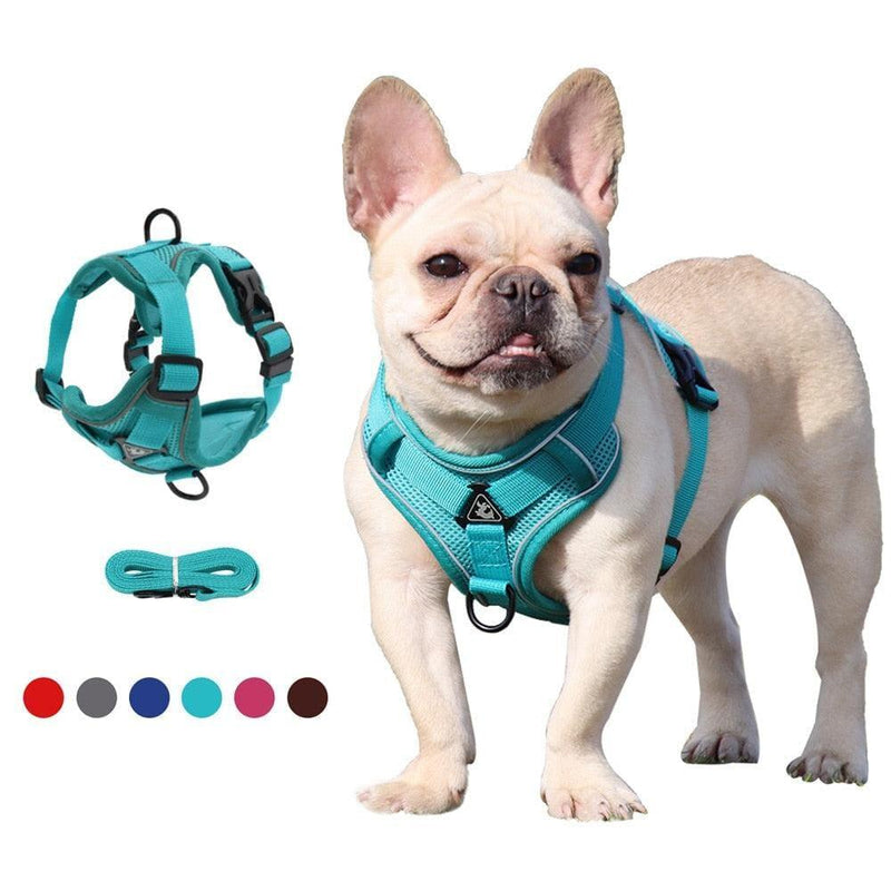Peitoral Refletivo Ajustável para Cães + Guia Grátis